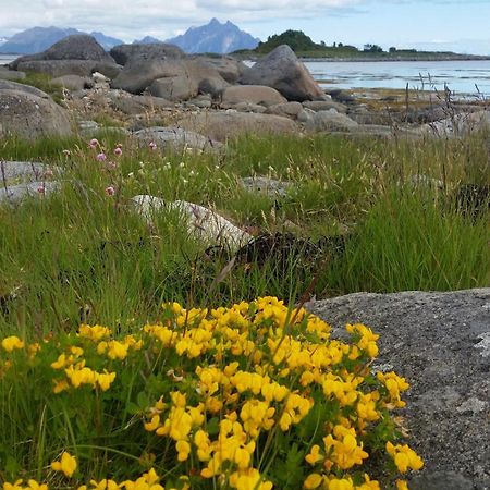 Lofotbo Stamsund Exterior foto