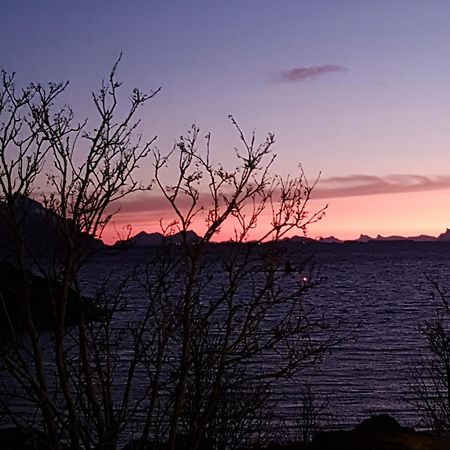 Lofotbo Stamsund Exterior foto
