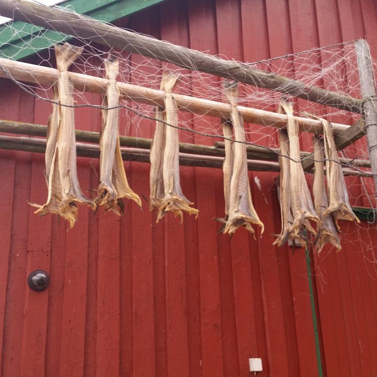 Lofotbo Stamsund Exterior foto