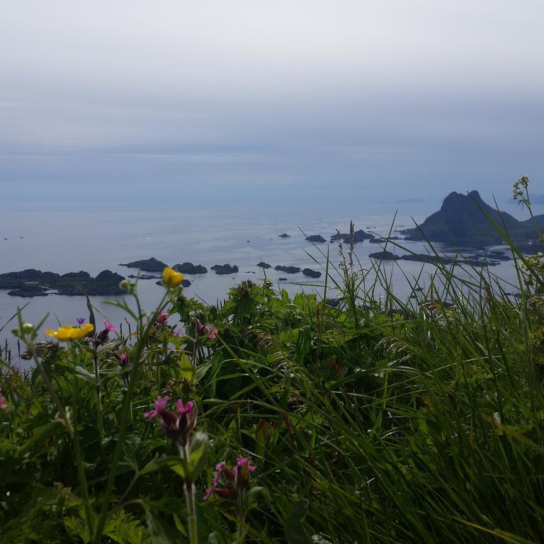 Lofotbo Stamsund Exterior foto