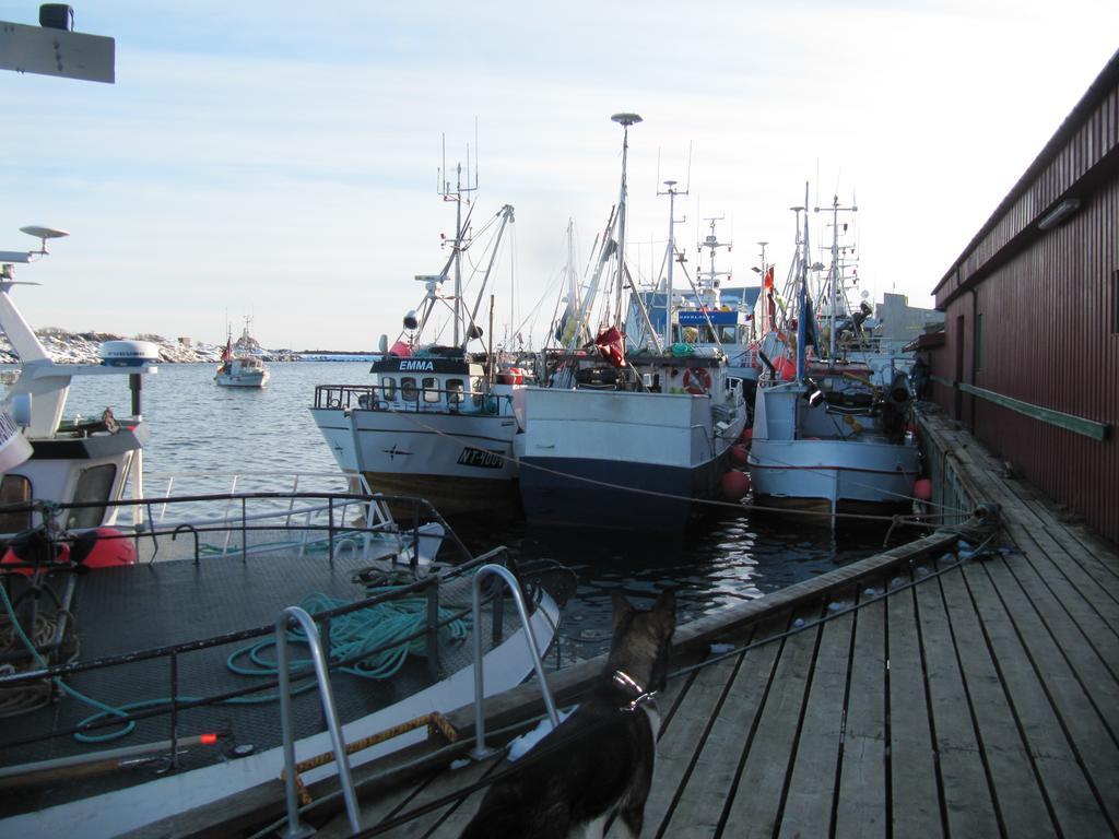 Lofotbo Stamsund Exterior foto