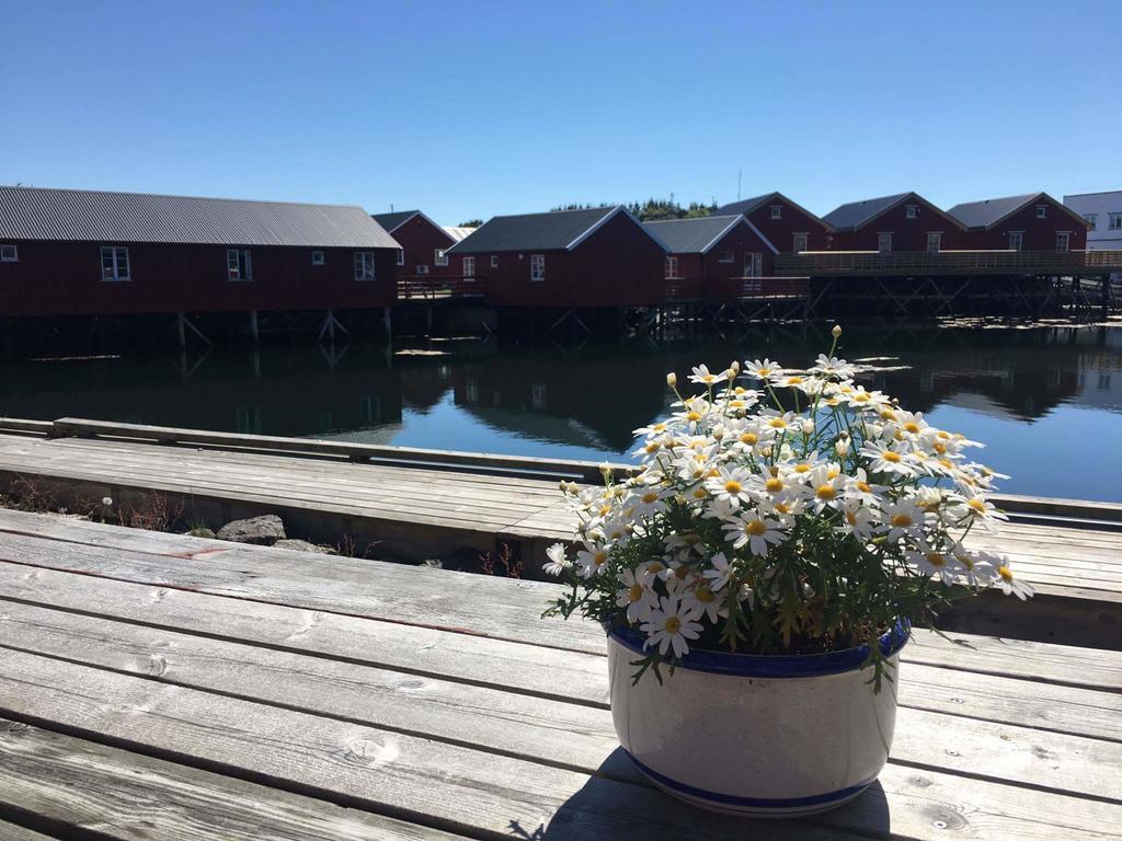 Lofotbo Stamsund Exterior foto