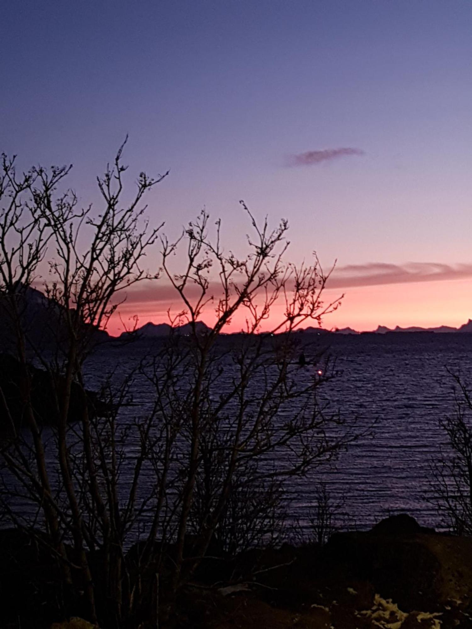 Lofotbo Stamsund Exterior foto